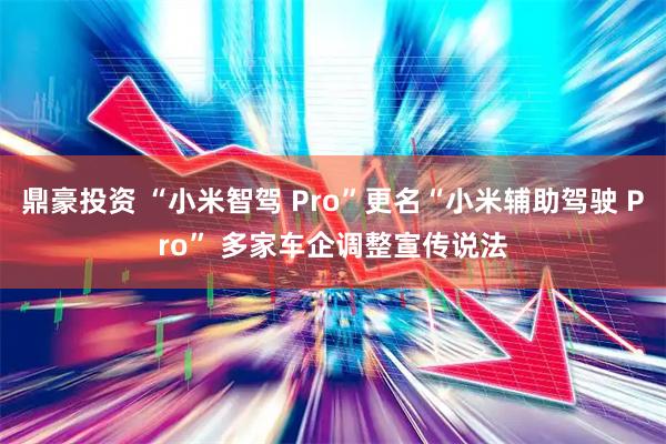 鼎豪投资 “小米智驾 Pro”更名“小米辅助驾驶 Pro” 多家车企调整宣传说法